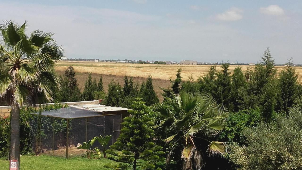 Nouaceur Riad Tanjil מראה חיצוני תמונה